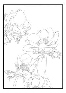 Coloring Page Anemones