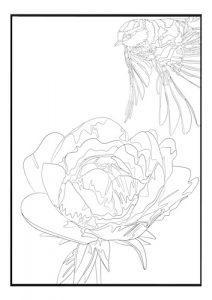 Coloring Page Peonies